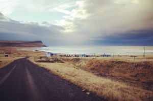 Into the Wild Island