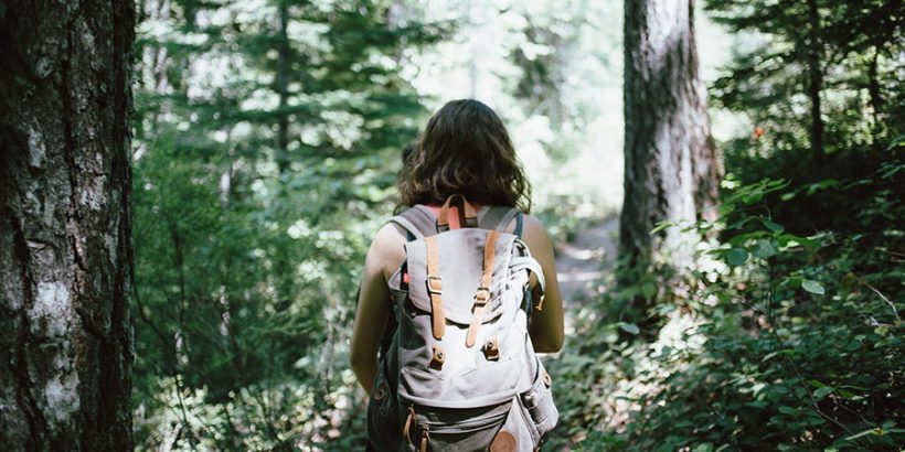 Urlaub im Wald