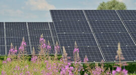 Photovoltaik wird immer mehr genutzt