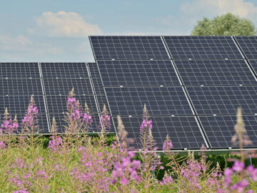 Photovoltaik wird immer mehr genutzt