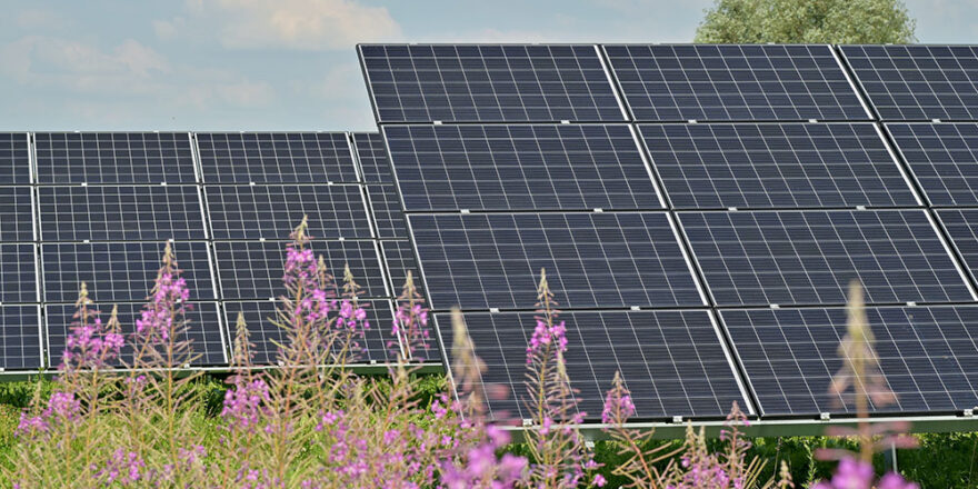 Photovoltaik wird immer mehr genutzt